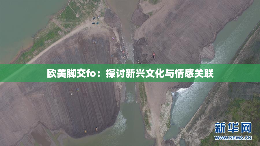 欧美脚交fo：探讨新兴文化与情感关联
