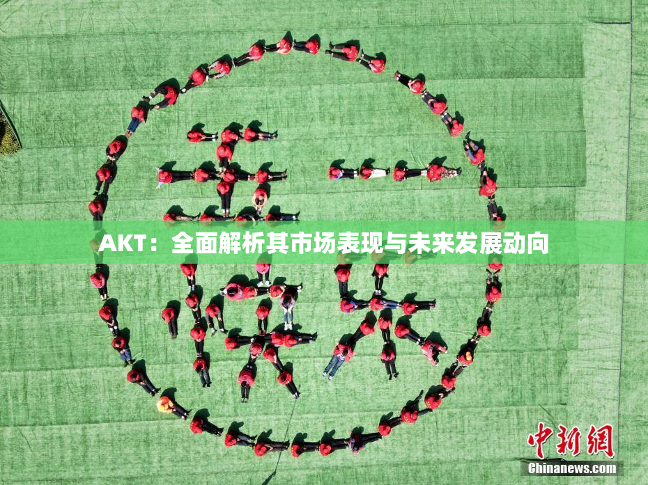 AKT：全面解析其市场表现与未来发展动向