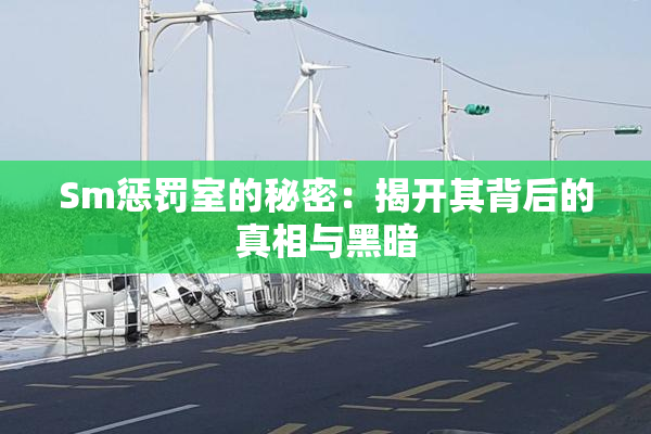 Sm惩罚室的秘密：揭开其背后的真相与黑暗