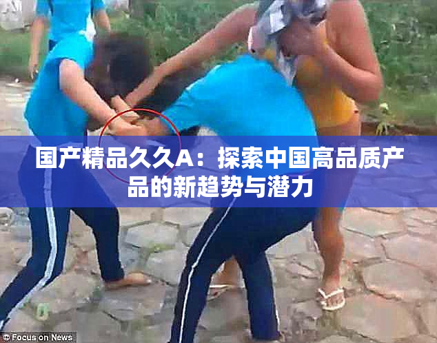 国产精品久久A：探索中国高品质产品的新趋势与潜力