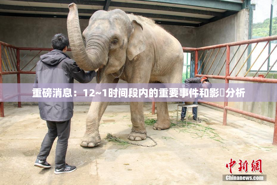 重磅消息：12~1时间段内的重要事件和影響分析