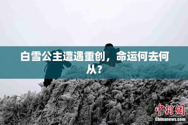 白雪公主遭遇重创，命运何去何从？