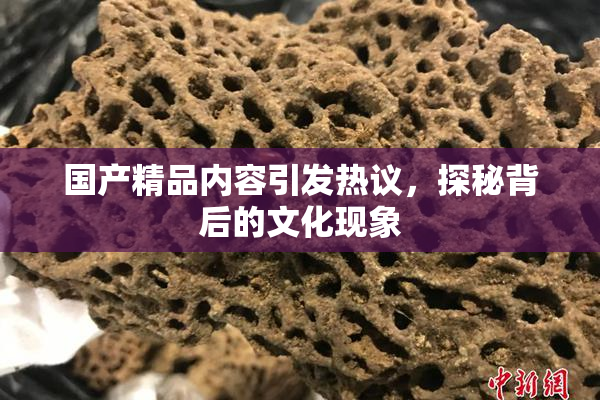 国产精品内容引发热议，探秘背后的文化现象
