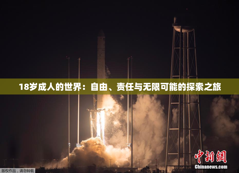 18岁成人的世界：自由、责任与无限可能的探索之旅