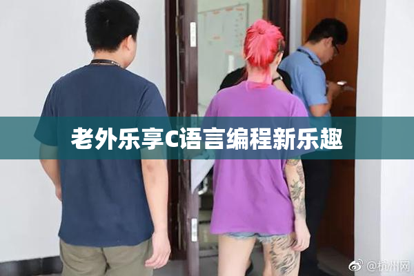 老外乐享C语言编程新乐趣