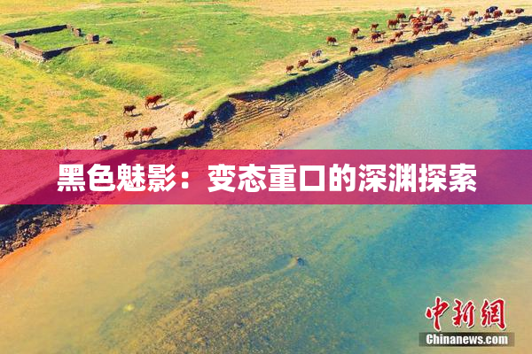 黑色魅影：变态重口的深渊探索