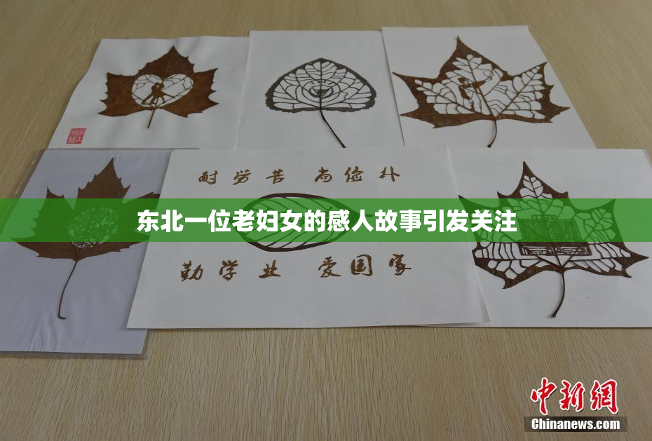 东北一位老妇女的感人故事引发关注