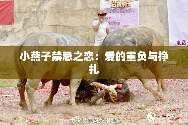 小燕子禁忌之恋：爱的重负与挣扎