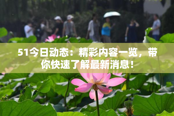 51今日动态：精彩内容一览，带你快速了解最新消息！