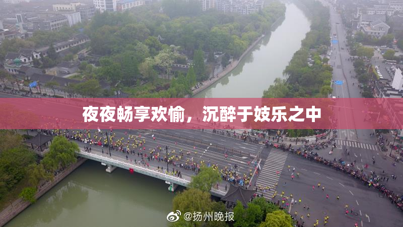 夜夜畅享欢愉，沉醉于妓乐之中