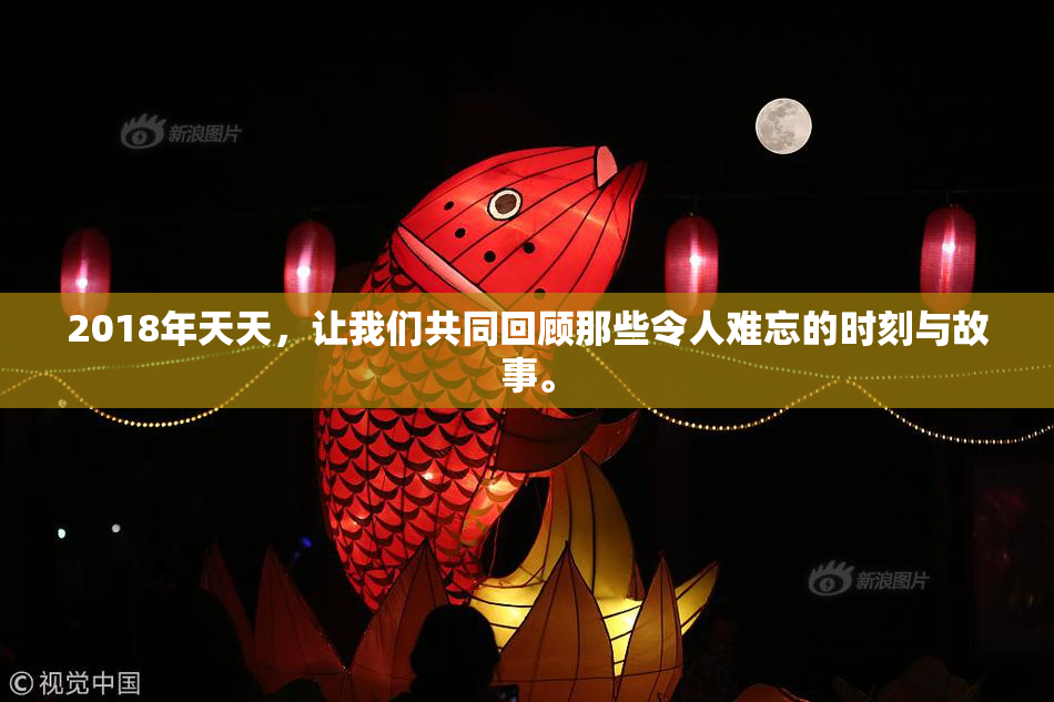 2018年天天，让我们共同回顾那些令人难忘的时刻与故事。