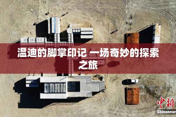温迪的脚掌印记 一场奇妙的探索之旅