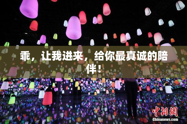 乖，让我进来，给你最真诚的陪伴！