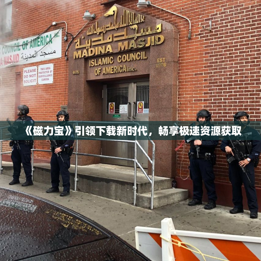 《磁力宝》引领下载新时代，畅享极速资源获取