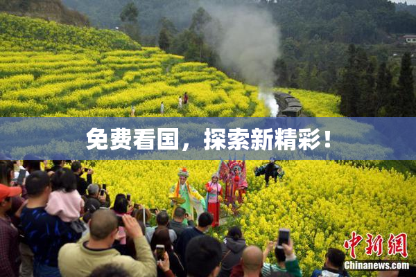 免费看国，探索新精彩！