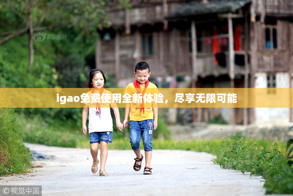 igao免费使用全新体验，尽享无限可能