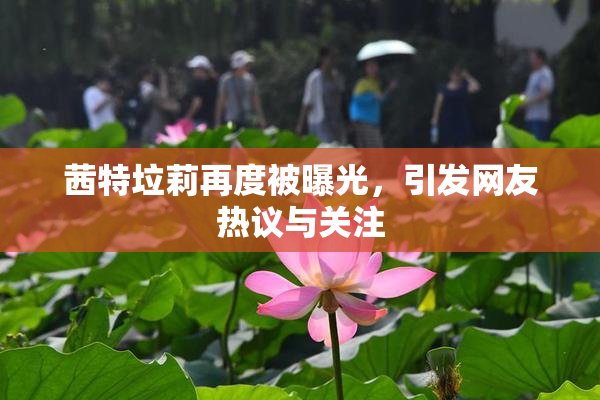 茜特垃莉再度被曝光，引发网友热议与关注