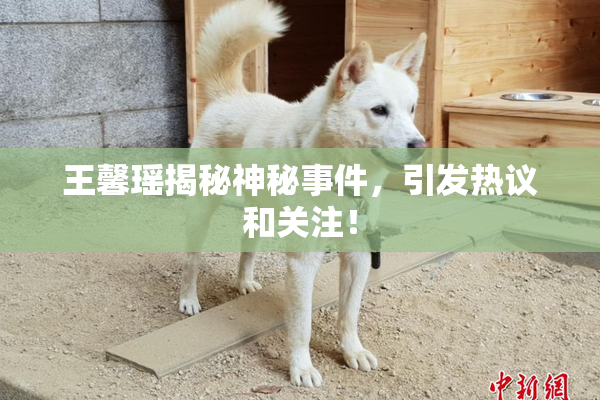 王馨瑶揭秘神秘事件，引发热议和关注！