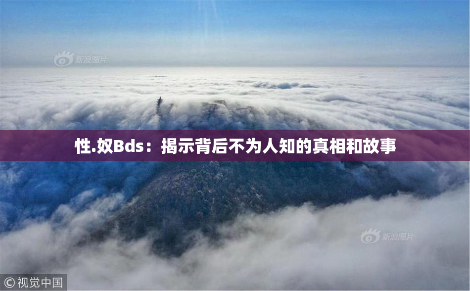 性.奴Bds：揭示背后不为人知的真相和故事