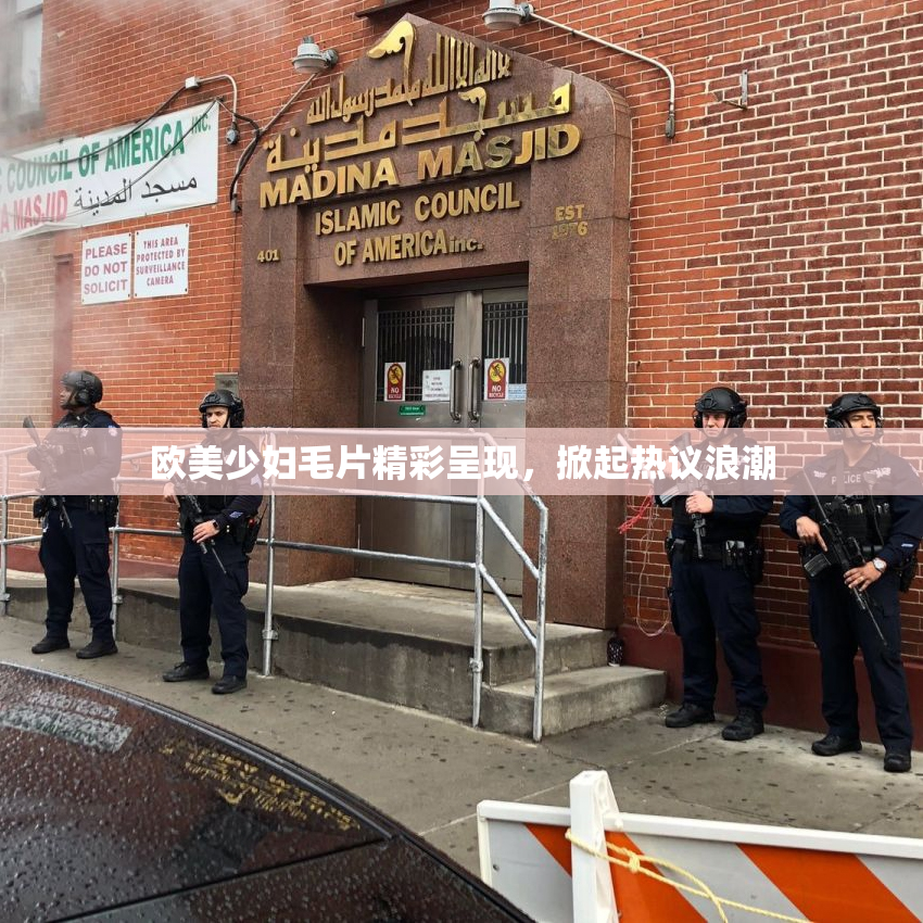 欧美少妇毛片精彩呈现，掀起热议浪潮