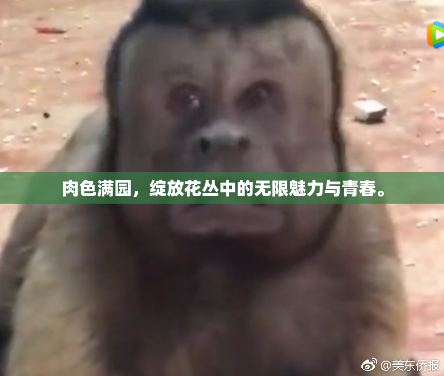 肉色满园，绽放花丛中的无限魅力与青春。