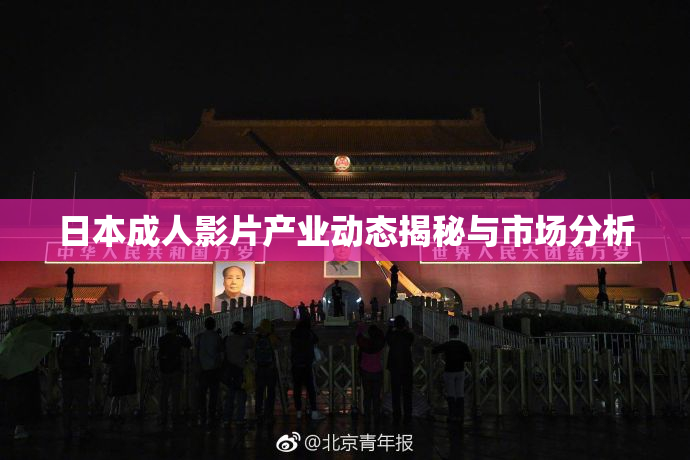 日本成人影片产业动态揭秘与市场分析