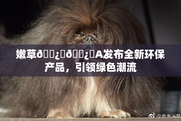 嫩草🌿‌🌿‌A发布全新环保产品，引领绿色潮流