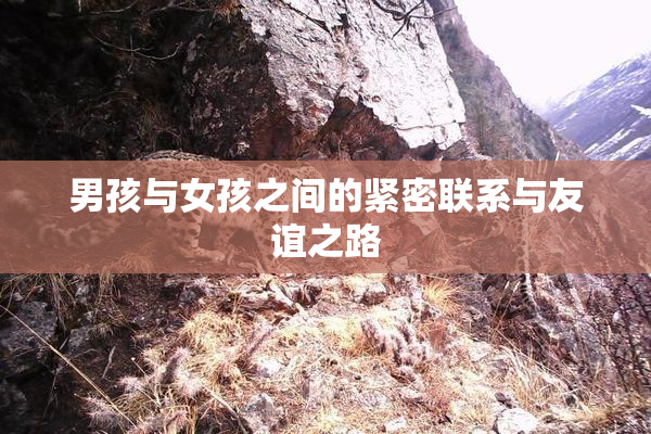 男孩与女孩之间的紧密联系与友谊之路
