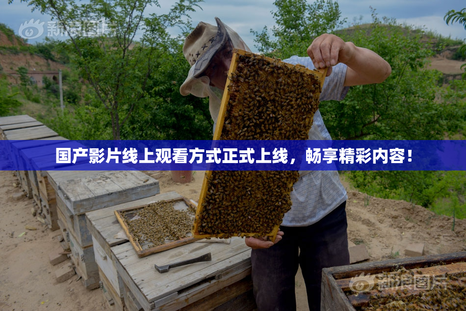 国产影片线上观看方式正式上线，畅享精彩内容！