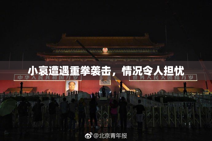 小哀遭遇重拳袭击，情况令人担忧