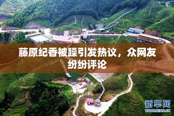藤原纪香被躁引发热议，众网友纷纷评论