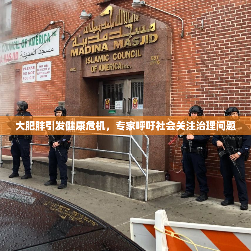 大肥胖引发健康危机，专家呼吁社会关注治理问题