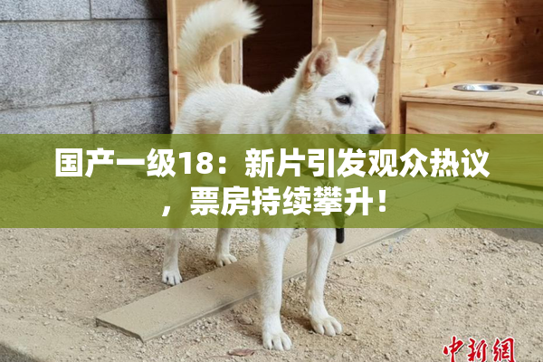 国产一级18：新片引发观众热议，票房持续攀升！