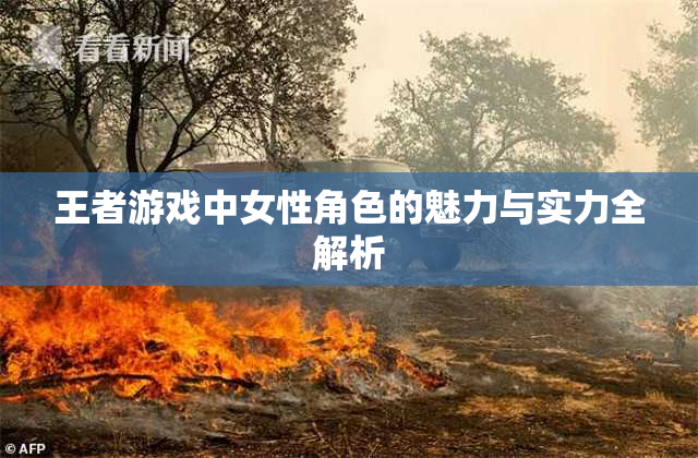 王者游戏中女性角色的魅力与实力全解析