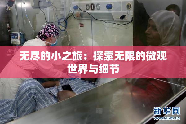 无尽的小之旅：探索无限的微观世界与细节