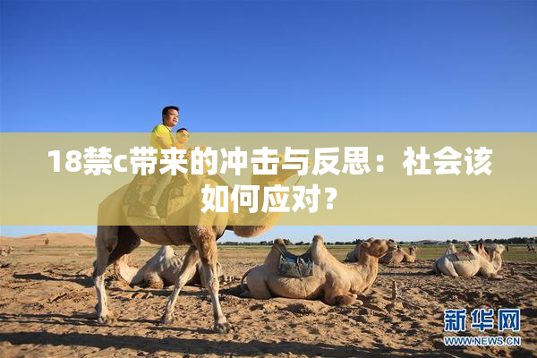 18禁c带来的冲击与反思：社会该如何应对？