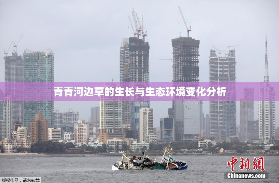 青青河边草的生长与生态环境变化分析