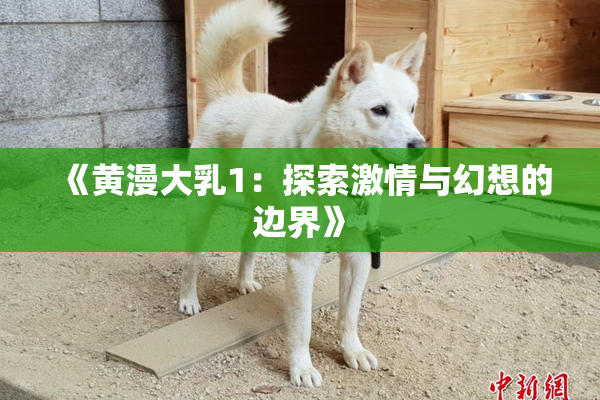 《黄漫大乳1：探索激情与幻想的边界》