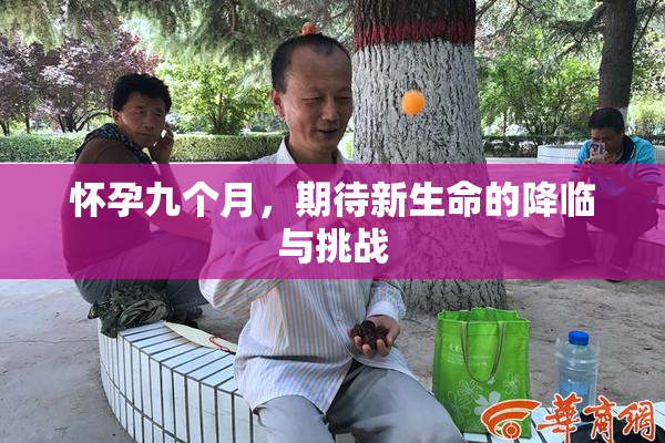怀孕九个月，期待新生命的降临与挑战