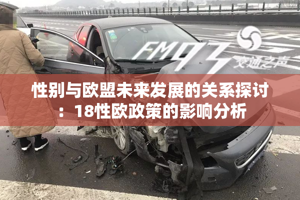 性别与欧盟未来发展的关系探讨：18性欧政策的影响分析