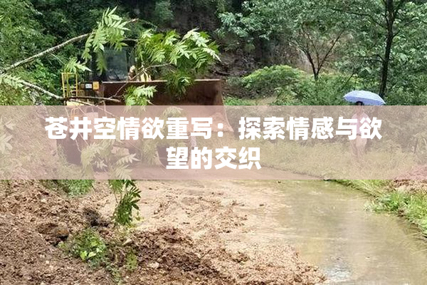 苍井空情欲重写：探索情感与欲望的交织