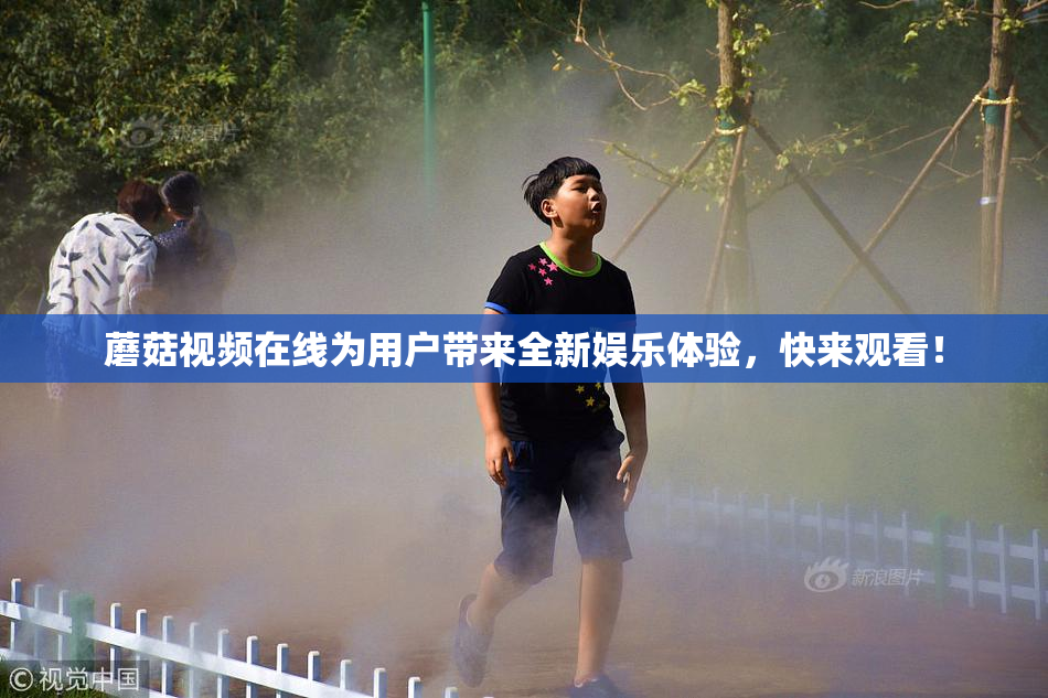 蘑菇视频在线为用户带来全新娱乐体验，快来观看！