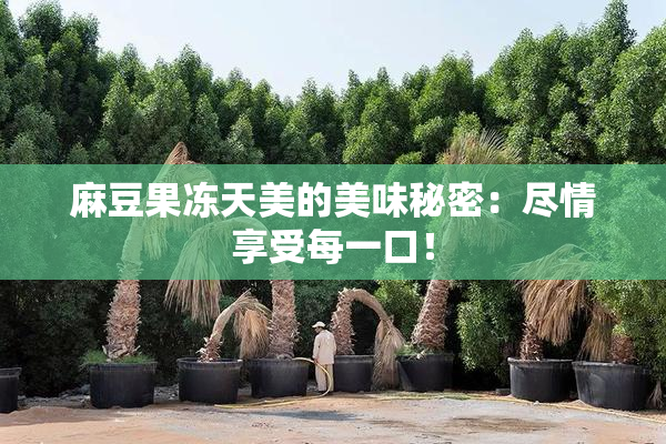 麻豆果冻天美的美味秘密：尽情享受每一口！