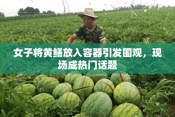 女子将黄鳝放入容器引发围观，现场成热门话题