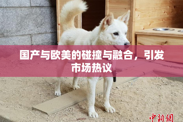 国产与欧美的碰撞与融合，引发市场热议