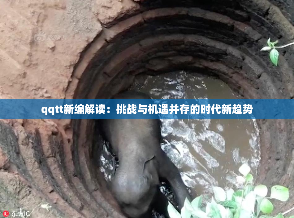 qqtt新编解读：挑战与机遇并存的时代新趋势
