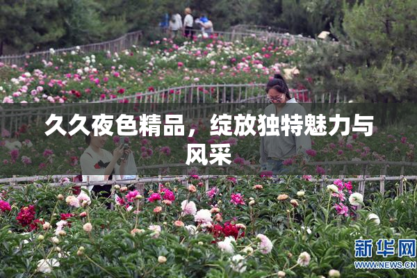 久久夜色精品，绽放独特魅力与风采