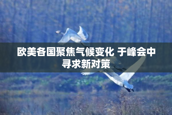 欧美各国聚焦气候变化 于峰会中寻求新对策