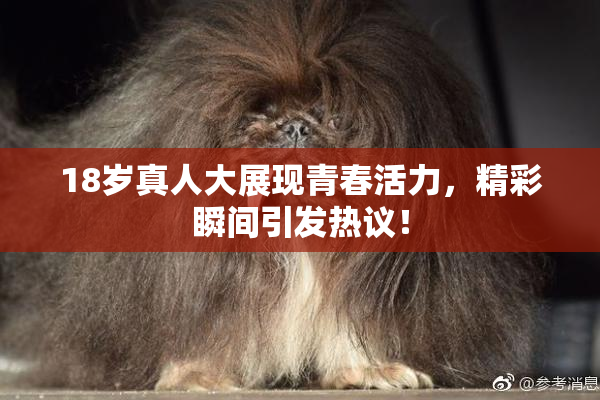 18岁真人大展现青春活力，精彩瞬间引发热议！