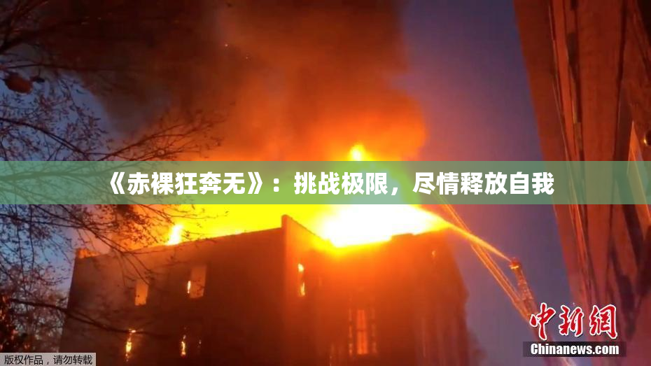 《赤裸狂奔无》：挑战极限，尽情释放自我